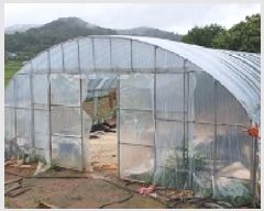  2025Ÿ��1058 �泲 ���걺 ����� ȭ���� 163      ����(��1)���