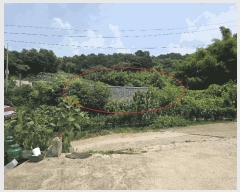  2025Ÿ��1063  ���ð��