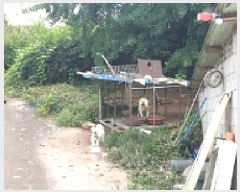  2025Ÿ��1063  ���ð��