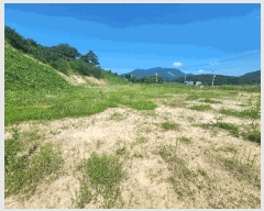  2025Ÿ��1101 �泲 ȫ���� �ݸ��� ������ 525-9      ����(��1)���