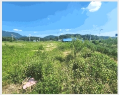  2025Ÿ��1101 �泲 ȫ���� �ݸ��� ������ 525-9      ����(��1)���