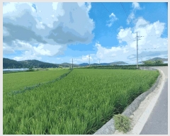  2025Ÿ��1127  ����