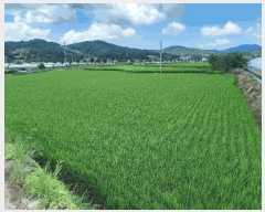  2025Ÿ��1127  ����