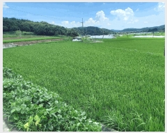  2025Ÿ��1127  ����