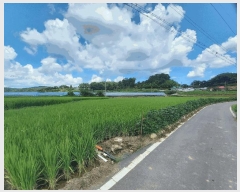  2025Ÿ��1127  ����