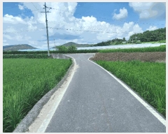  2025Ÿ��1127  ����