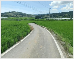  2025Ÿ��1127  ����