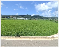  2025Ÿ��1127  ����