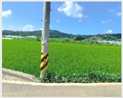  2025Ÿ��1127  ����