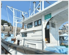  2025Ÿ��1129 ������          ���ڰ��