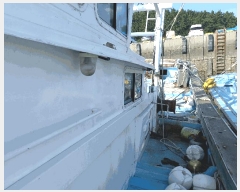  2025Ÿ��1129 ������          ���ڰ��