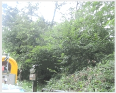  2025Ÿ��1153 �泲 ��õ�� ������ ���ϸ� 492-11      ����(��1)���