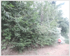  2025Ÿ��1153 �泲 ��õ�� ������ ���ϸ� 492-11      ����(��1)���