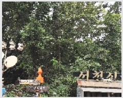  2025Ÿ��1153 �泲 ��õ�� ������ ���ϸ� 492-11      ����(��1)���