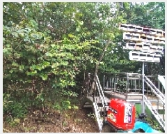  2025Ÿ��1153 �泲 ��õ�� ������ ���ϸ� 492-11      ����(��1)���