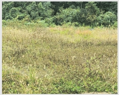  2025Ÿ��1165 �泲 ���걺 ����� �絿�� 380      ����(����)���