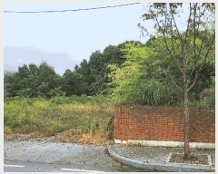  2025Ÿ��1165 �泲 ���걺 ����� �絿�� 380      ����(����)���