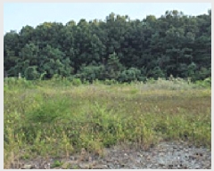  2025Ÿ��1165 �泲 ���걺 ����� �絿�� 380      ����(����)���