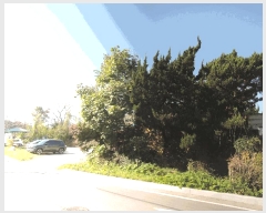  2025Ÿ��1192 �泲 ȫ���� ȫ���� ���ϸ� 632-1      ����(��)���