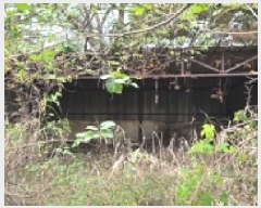  2025Ÿ��1192 �泲 ȫ���� ȫ���� ���ϸ� 632-1      ����(��)���