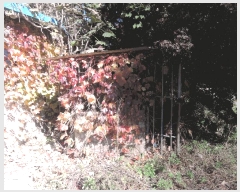  2025Ÿ��1192 �泲 ȫ���� ȫ���� ���ϸ� 632-1      ����(��)���