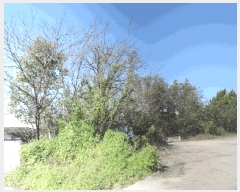  2025Ÿ��1192 �泲 ȫ���� ȫ���� ���ϸ� 632-1      ����(��)���