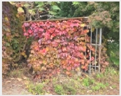  2025Ÿ��1192 �泲 ȫ���� ȫ���� ���ϸ� 632-1      ����(��)���