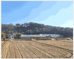  2025Ÿ��1207 �泲 ȫ���� �Ἲ�� ���긮 517-12      ����(�������)���