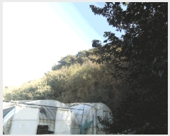  2025Ÿ��1207 �泲 ȫ���� �Ἲ�� ���긮 517-12      ����(�������)���