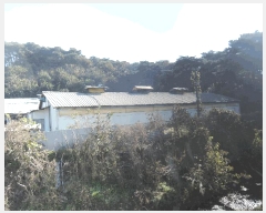 2025Ÿ��1207 �泲 ȫ���� �Ἲ�� ���긮 517-12      ����(�������)���