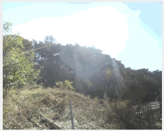  2025Ÿ��1207 �泲 ȫ���� �Ἲ�� ���긮 517-12      ����(�������)���