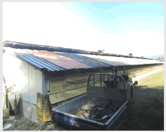  2025Ÿ��1207 �泲 ȫ���� �Ἲ�� ���긮 517-12      ����(�������)���