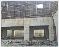  2025Ÿ��15247  �������