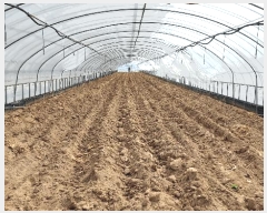  2025Ÿ��15384 �泲 ȫ���� ȫ���� ������ 17-10      ����(��)���