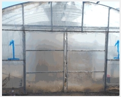  2025Ÿ��15384 �泲 ȫ���� ȫ���� ������ 17-10      ����(��)���