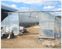  2025Ÿ��15384 �泲 ȫ���� ȫ���� ������ 17-10      ����(��)���