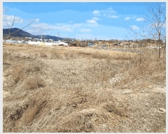  2025Ÿ��15384 �泲 ȫ���� ȫ���� ������ 17-10      ����(��)���