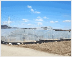  2025Ÿ��15384 �泲 ȫ���� ȫ���� ������ 17-10      ����(��)���