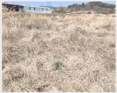  2025Ÿ��15595 �泲 ���ɽ� �ֱ��� �ֱ��� 402      ����(��1)���