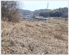  2025Ÿ��15595 �泲 ���ɽ� �ֱ��� �ֱ��� 402      ����(��1)���