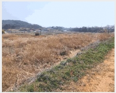  2025Ÿ��15595 �泲 ���ɽ� �ֱ��� �ֱ��� 402      ����(��1)���