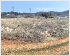  2025Ÿ��15595 �泲 ���ɽ� �ֱ��� �ֱ��� 402      ����(��1)���