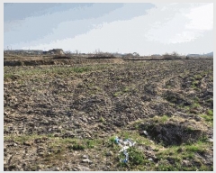  2025Ÿ15605 泲 ɽ  â 489      ()