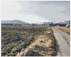  2025Ÿ15605 泲 ɽ  â 489      ()