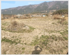  2025Ÿ15605 泲 ɽ  â 489      ()