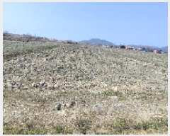  2025Ÿ15605 泲 ɽ  â 489      ()