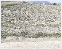  2025Ÿ15605 泲 ɽ  â 489      ()