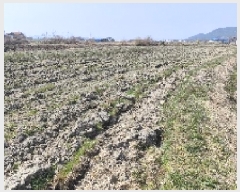  2025Ÿ15605 泲 ɽ  â 489      ()