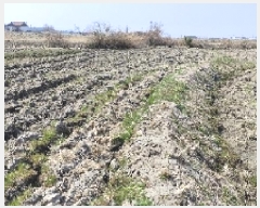  2025Ÿ15605 泲 ɽ  â 489      ()