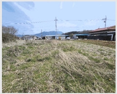  2025Ÿ15657 泲 ȫ ݸ  673-4      ()